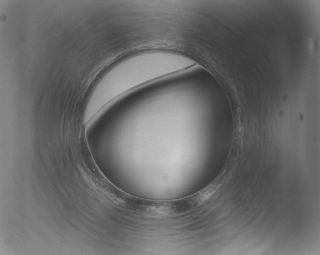 X0000053140164200507111436