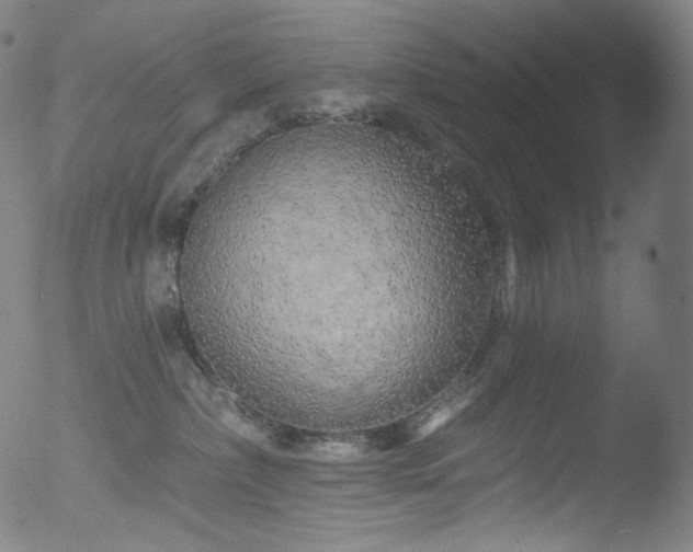 X0000053140236200507111435