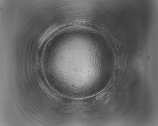 X0000053140242200507111434
