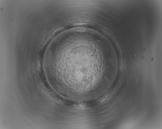 X0000053140259200507111434