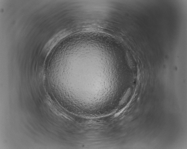 X0000053140290200507111434