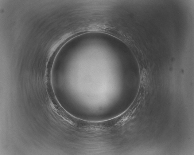 X0000053140292200507111434