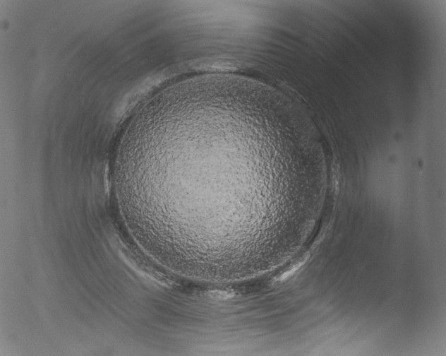 X0000053140302200507111434