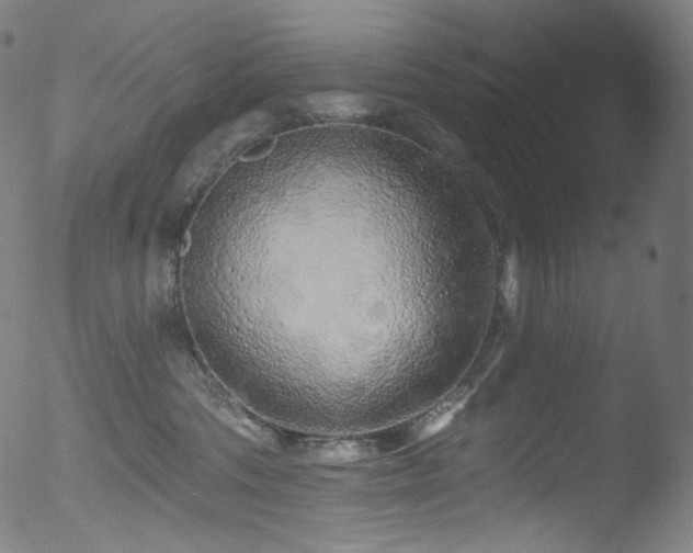 X0000053140330200507111433