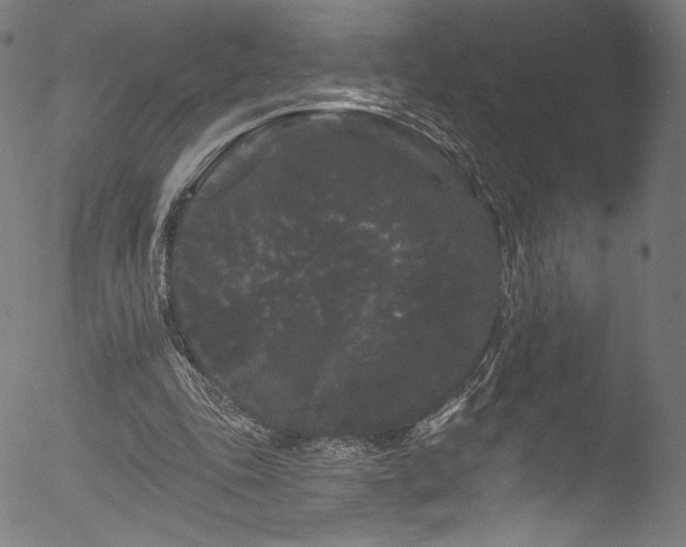 X0000053140343200507111432
