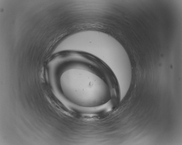 X0000053140360200507111433