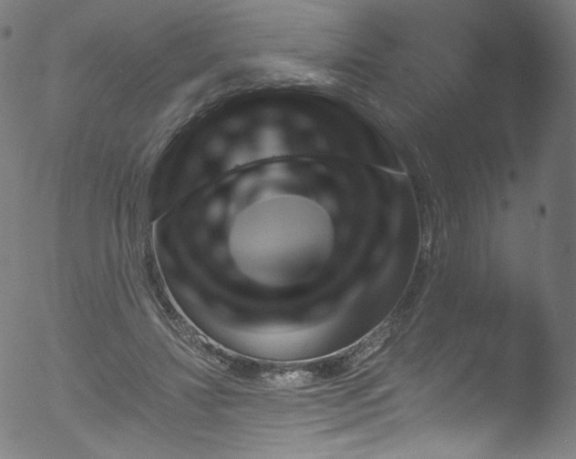 X0000053140452200507111431