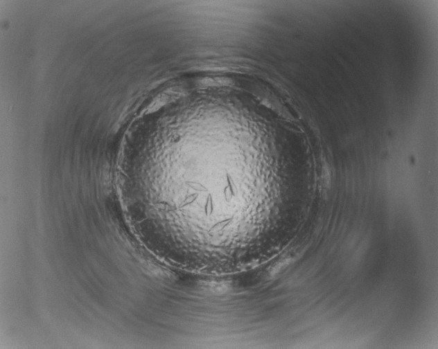 X0000053140469200507111431