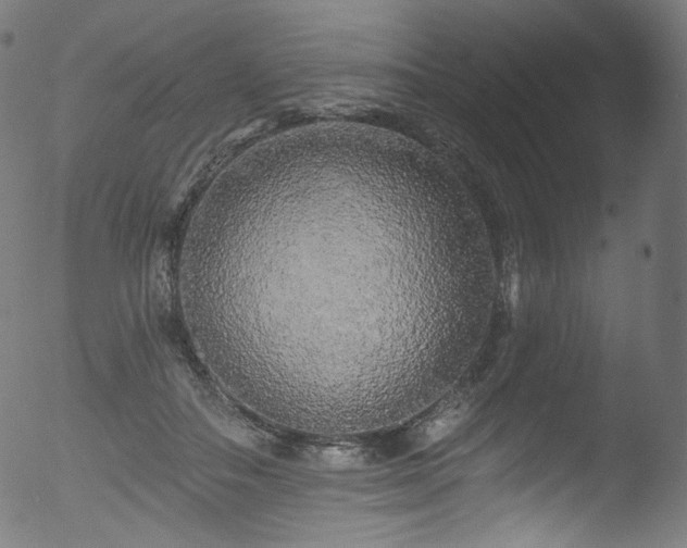 X0000053140506200507111430