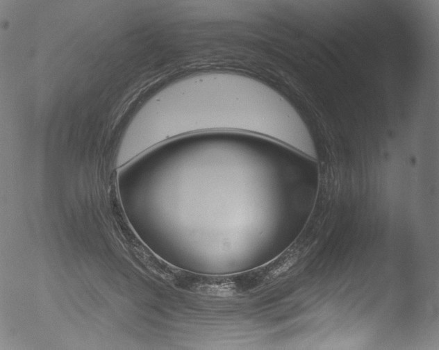 X0000053140548200507111429