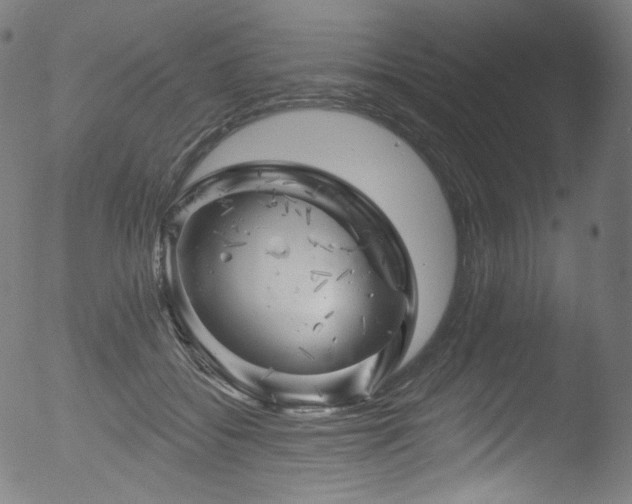 X0000053140556200507111430