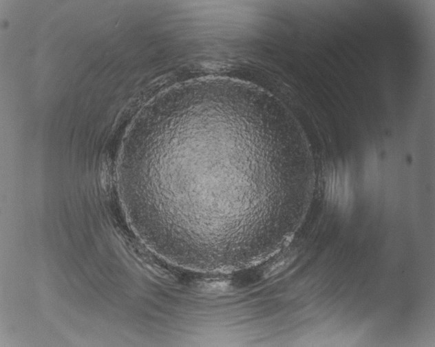 X0000053140651200507111428