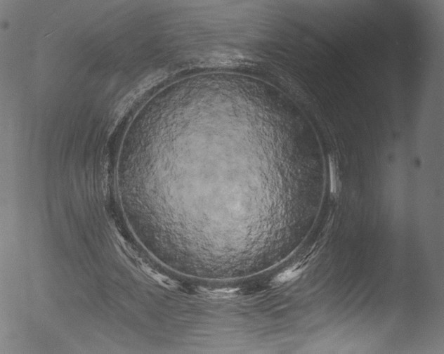 X0000053140675200507111427