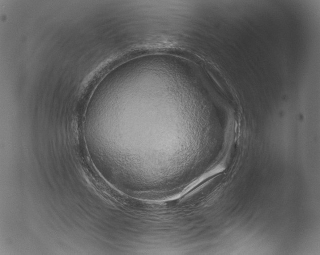 X0000053140684200507111427