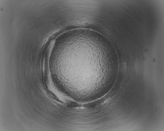 X0000053140688200507111427
