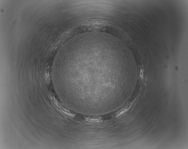 X0000053140771200507111426