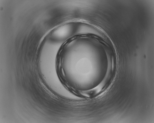 X0000053140783200507111425