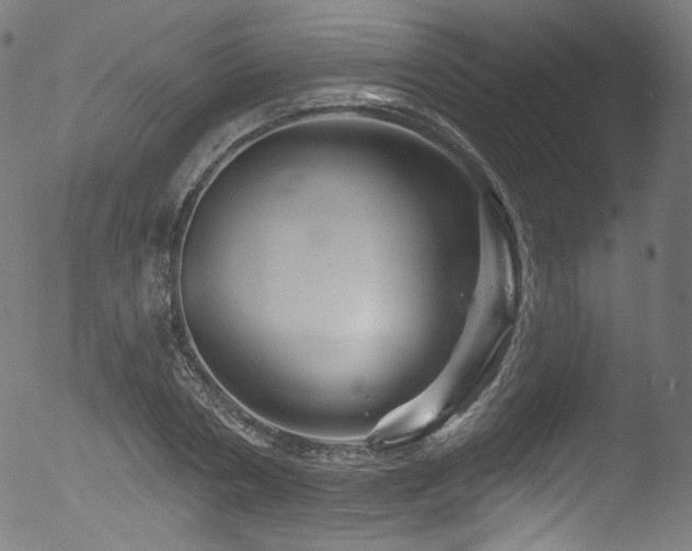 X0000053140786200507111425