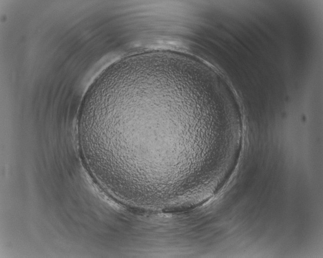 X0000053140798200507111425