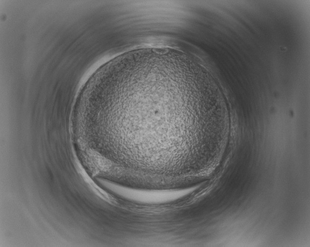 X0000053140803200507111425