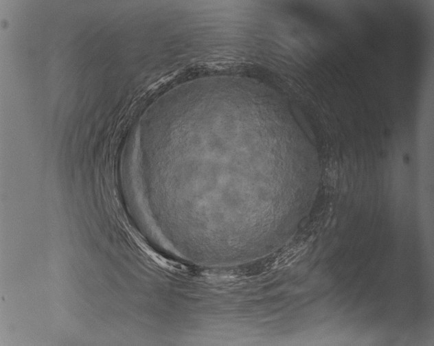 X0000053140817200507111424