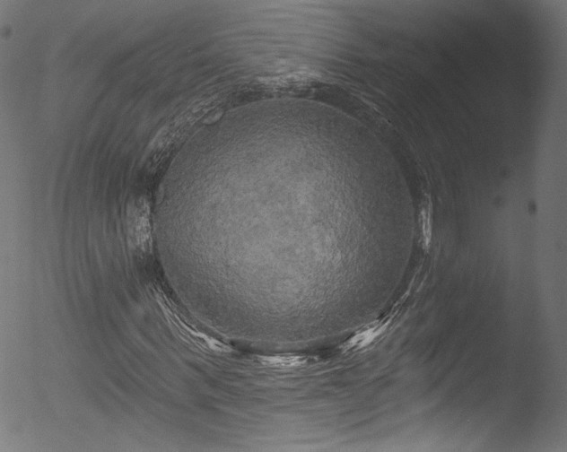X0000053140963200507111422
