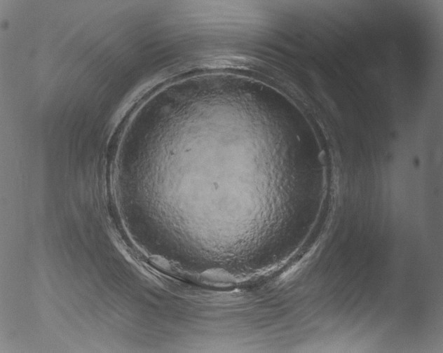 X0000053140986200507111422