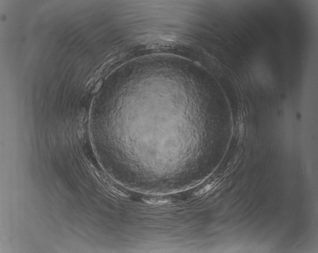 X0000053141012200507111421