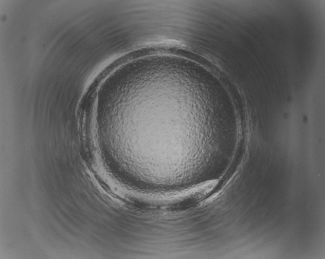 X0000053141022200507111421