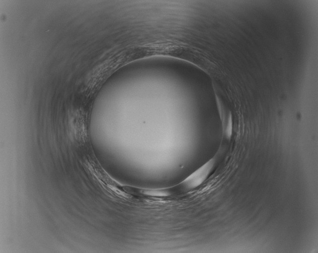 X0000053141058200507111421