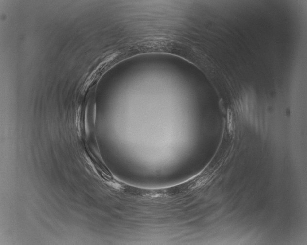 X0000053141107200507111419