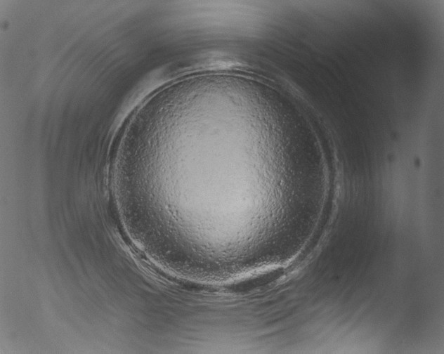 X0000053141178200507111419