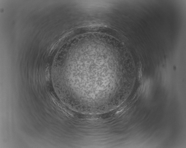 X0000053141204200507111418