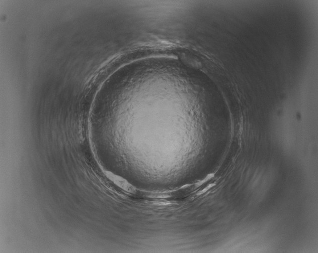 X0000053141205200507111418