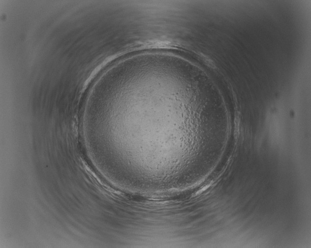 X0000053141212200507111418