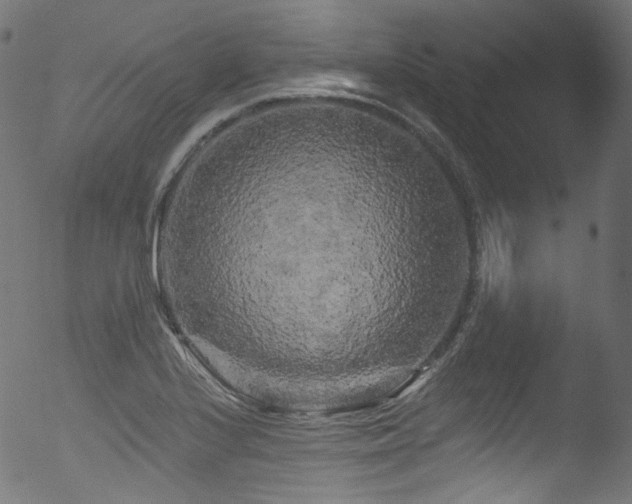 X0000053141224200507111418