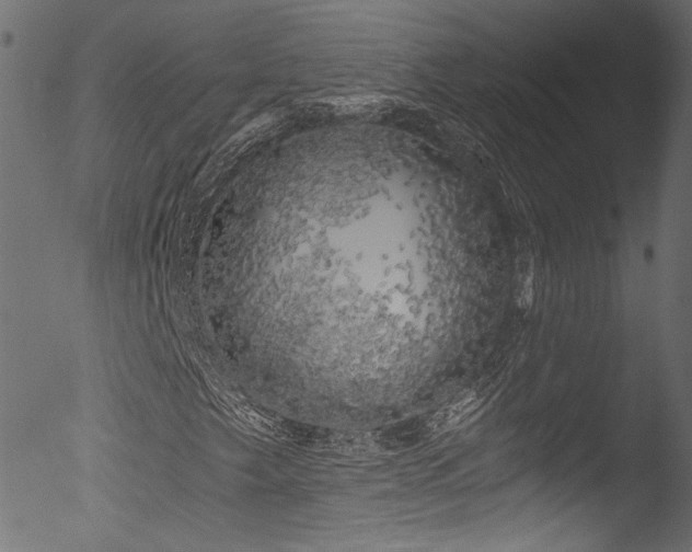 X0000053141249200507111417