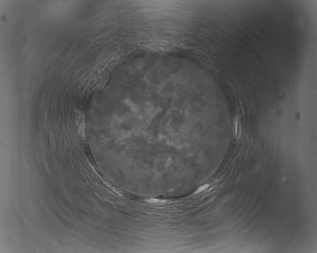 X0000053141251200507111417