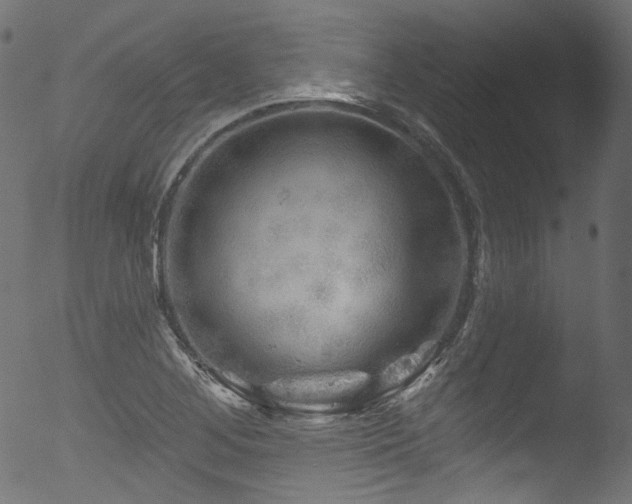 X0000053141268200507111417