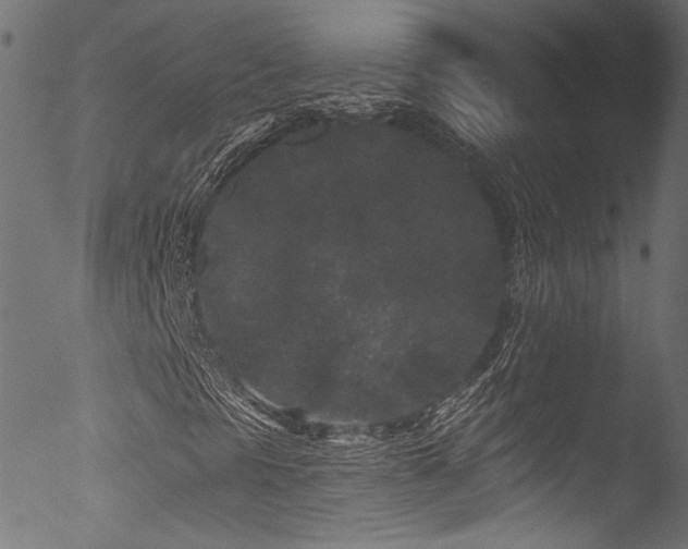 X0000053141297200507111416