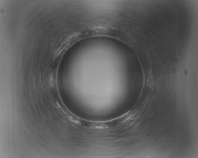 X0000053141298200507111416