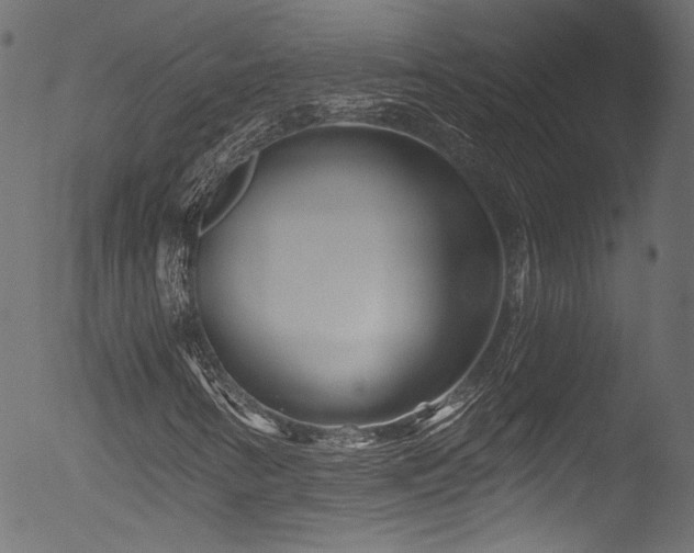 X0000053141346200507111416