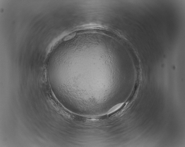 X0000053141358200507111416