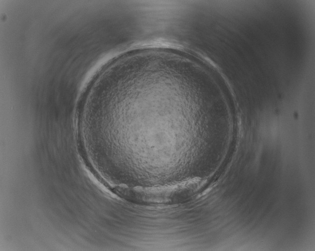 X0000053141416200507111415