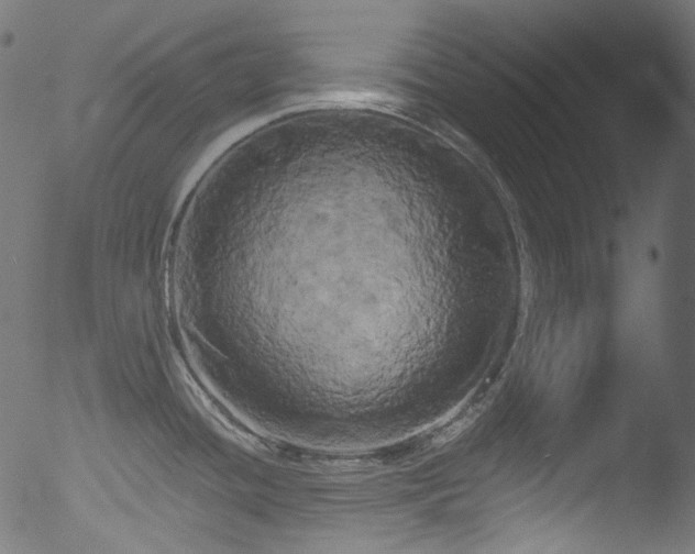 X0000053141436200507111415