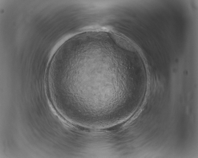 X0000053141440200507111415