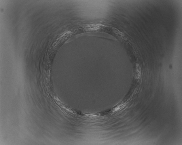 X0000053141441200507111414