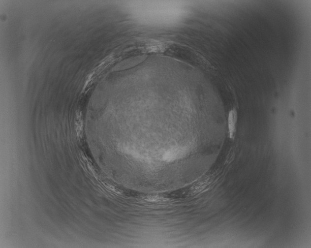 X0000053141443200507111414