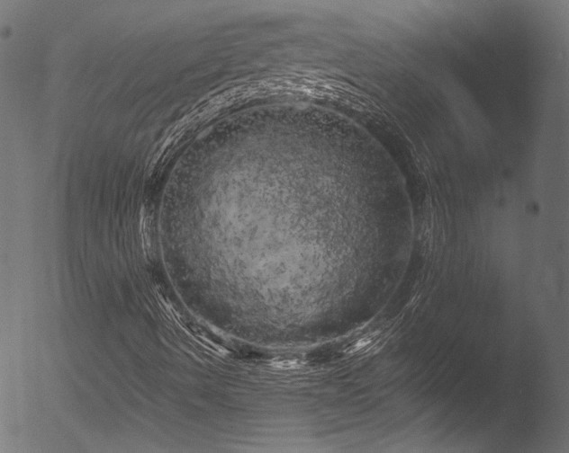 X0000053141490200507111413