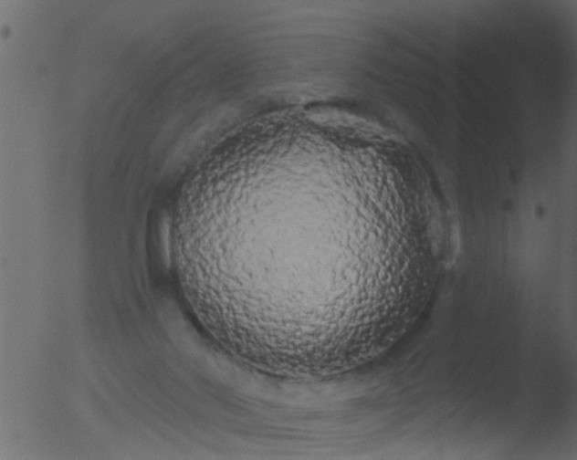 X0000053140022200507181942